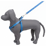 Kennel Blue Bash Printed Padded Click Lock Adjustable Harness