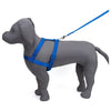 Kennel Nylon Body (1")