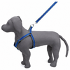 Kennel Padded Nylon Dotzy Adjustable Harness  (W = 1 Inch)