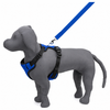 Kennel Full Body Harness (Large - 30")