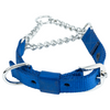 Kennel Soft Nylon Chain Martingale Collar