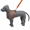 Kennel Soft Nylon 3 Way Click Lock Adjustable Harness (1")