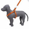 Kennel Foam Padded Soft Nylon Adjustable Harness ( 1 1/4")