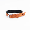Kennel Padded Nylon Collar