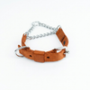 Kennel Soft Nylon Chain Martingale Collar