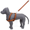 Kennel Padded Nylon Body (1 1/4")