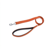 Kennel Foam Padded Soft Nylon Leash (3/4") (48")