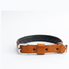 Kennel Foam Padded Nylon Collar