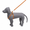 Kennel Nylon Pattern Adjustable Harness - 3/4 Inch  (10" - 18")
