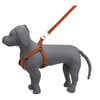 Kennel Padded Nylon Dotzy Adjustable Harness  (W = 1 Inch)
