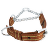 Kennel Pattern Nylon Chain Martingale Collar