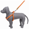 Kennel Premium All Over Reflective Padded Nylon M.S. CL Adjustable Harness