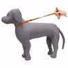 Kennel Nylon Show Leash