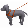 Kennel Nylon Body (1")