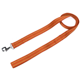 Kennel Striped Nylon Dog Leash – Durable & Lightweight