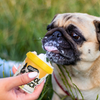 Basil Cool Lick With Added Prebiotics Ice Cream For Dogs