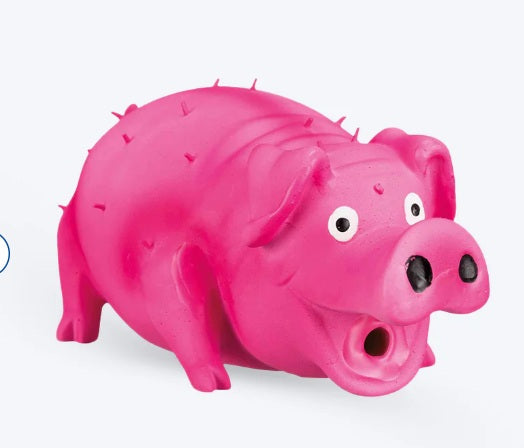 Trixie Bristle Pig Latex Dog Toy