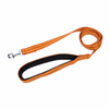 Padded Nylon Dog Leash with Foam Grip | Kennel