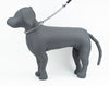 Kennel M.S. Chain Collar