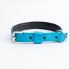 Kennel Foam Padded Nylon Collar