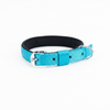 Kennel Padded Nylon Collar