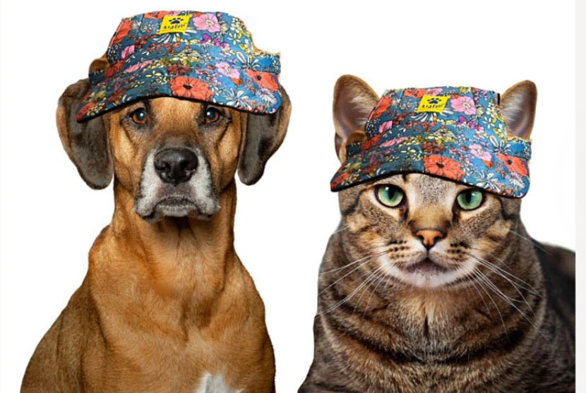 A+a Pets Baseball Cap For Small Dogs & Cats With Toggle Multicolour