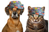 A+a Pets Baseball Cap For Small Dogs & Cats With Toggle Multicolour