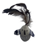 Jw Pets Cataction Bird Catnip Toy