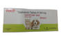 Veko Cepstar Yum-Tab 300mg – Cephalexin Tablets for Dogs & Cats