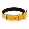 Kennel Soft Nylon Two Color Collar