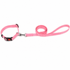 Kennel Soft Nylon Adjustable Click Collar & Leash Set (1 1/4")