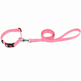 Kennel Soft Nylon Adjustable Click Lock Collar and Leash Set (1