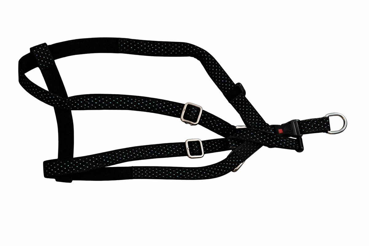 Kennel Premium All Over Reflective Padded Nylon Click Lock Adjustable Harness