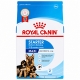 Royal Canin Maxi Starter Dog Dry Food