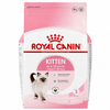 Royal Canin Kitten Dry Food