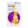 Pazuvet Healthcare: SelaGold – Selamectin 6% Spot-On for Cats (Up to 2.5 kg)