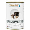 Vivaldis Veterinary Diets Recovery Can For Cats & Dogs