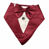 Petropolis Tuxedo For Dog (Color May Vary)
