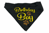 Petropolis Birthday Boy Bandana (Color May Vary)