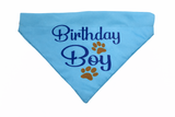 Petropolis Birthday Boy Bandana (Color May Vary)