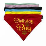 Petropolis Birthday Boy Bandana (Color May Vary)