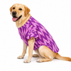 Petex Fancy Kurta For Dogs