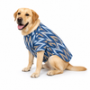 Petex Fancy Kurta For Dogs