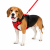 Kennel Full Body Harness (Large - 30")