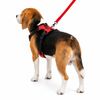 Kennel Full Body Harness (Large - 30")