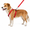 Kennel Soft Nylon 3 Way Click Lock Adjustable Harness (1")