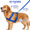 Nylon Dog Body Harness | Adjustable, Lightweight & Secure