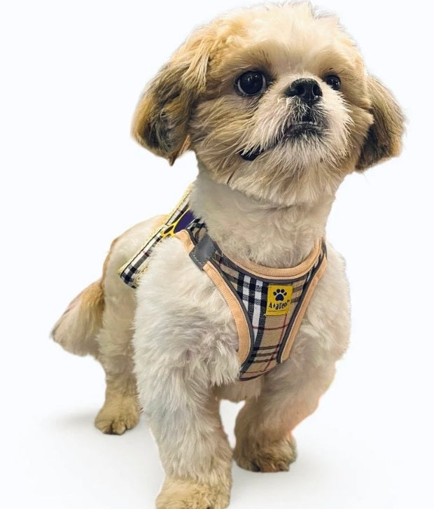 A+a Pets Bur-Berry Checks Harness & Leash Set For Cat & Small Dogs