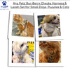 A+a Pets Bur-Berry Checks Harness & Leash Set For Cat & Small Dogs