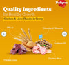Pedigree Chicken And Liver Chunks In Gravy Adult Pouch